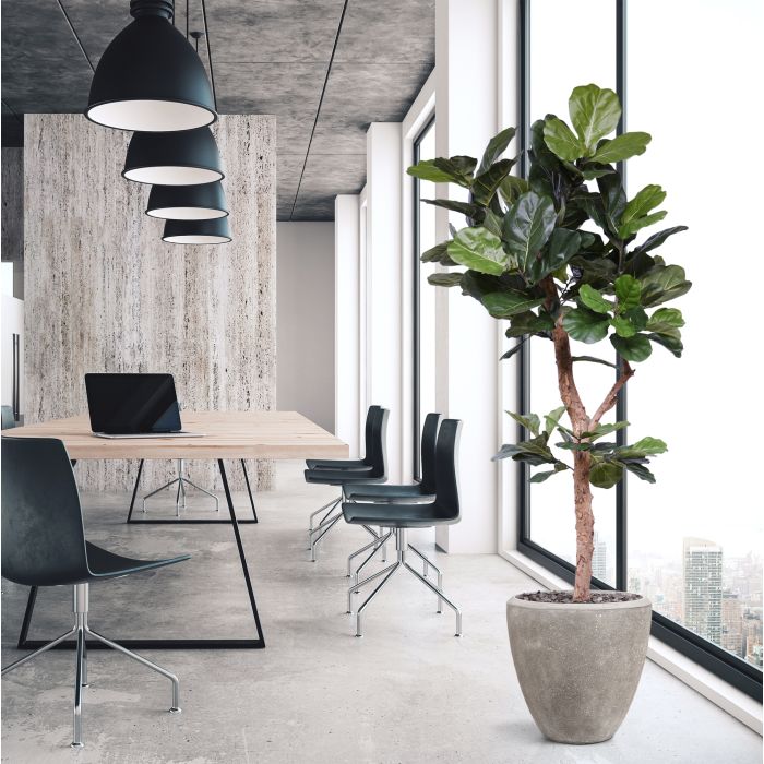 Lyrata Deluxe kunstboom Y stam 210cm - afbeelding 4