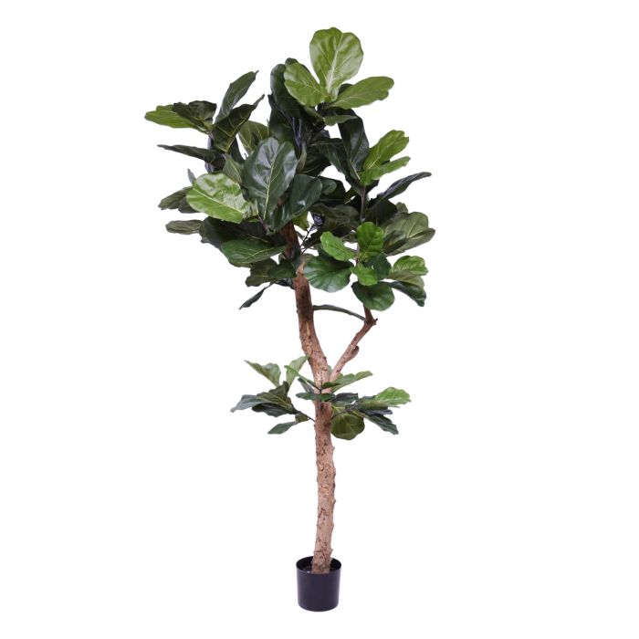 Lyrata Deluxe kunstboom Y stam 210cm - afbeelding 13
