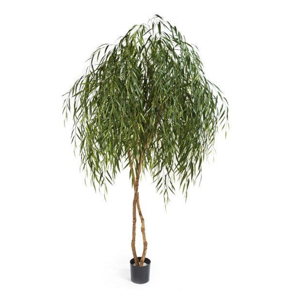 8' WILLOW TREE