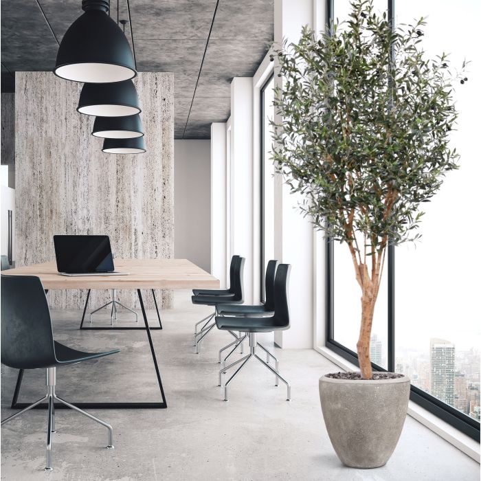 Olijf Deluxe kunstboom 250cm - afbeelding 2