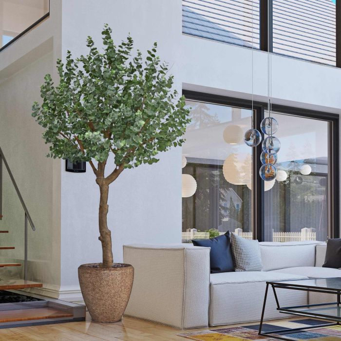 Eucalyptus Kunstboom XL 300cm - afbeelding 10