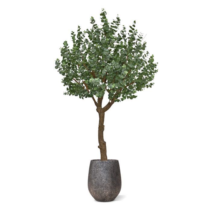 Eucalyptus Kunstboom XL 300cm