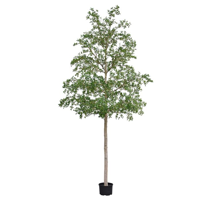Bucida shady Lady Kunstboom 400cm groen - afbeelding 6