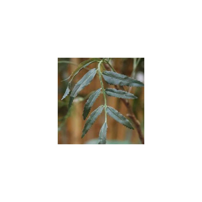 Sorbaria sorbifolia Kunstboom 220cm - afbeelding 13