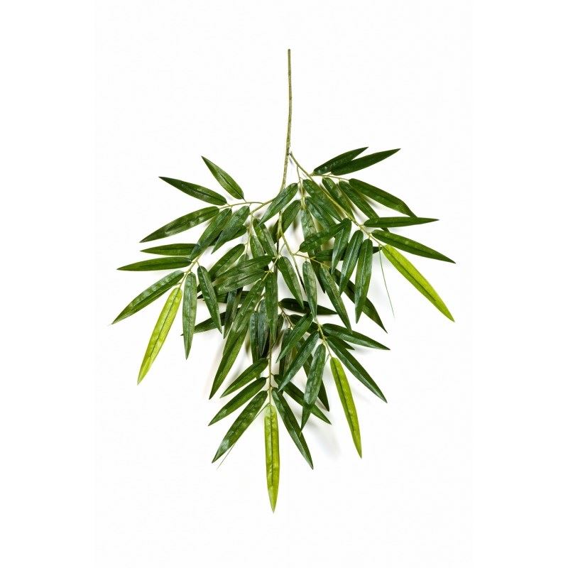 New Bamboo spray