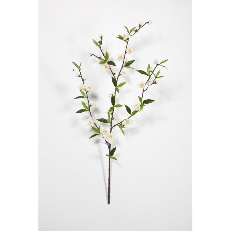 Cherry Blossom Spray Cream