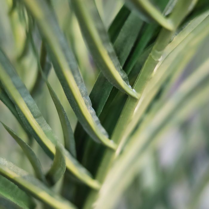 Phoenix Kunstpalm deluxe 225cm - afbeelding 9