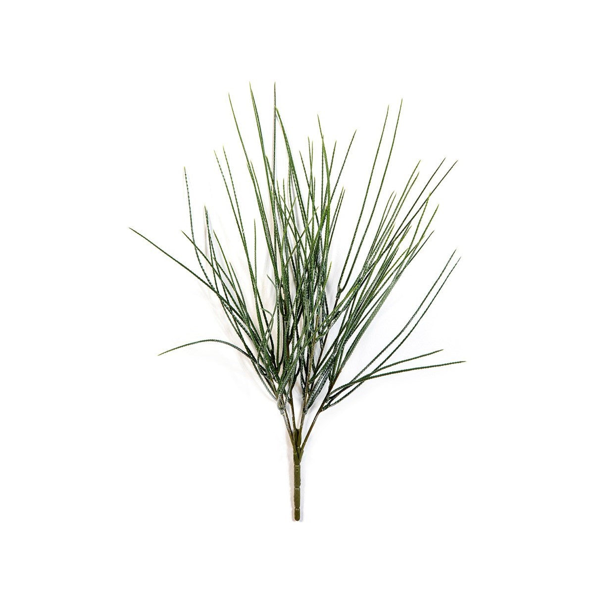 Canyon Grass Bunch - UV