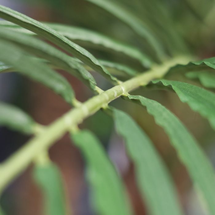 Phoenix Kunstpalm deluxe 225cm - afbeelding 6