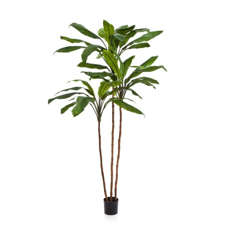 Fructicosa Kunstbaum