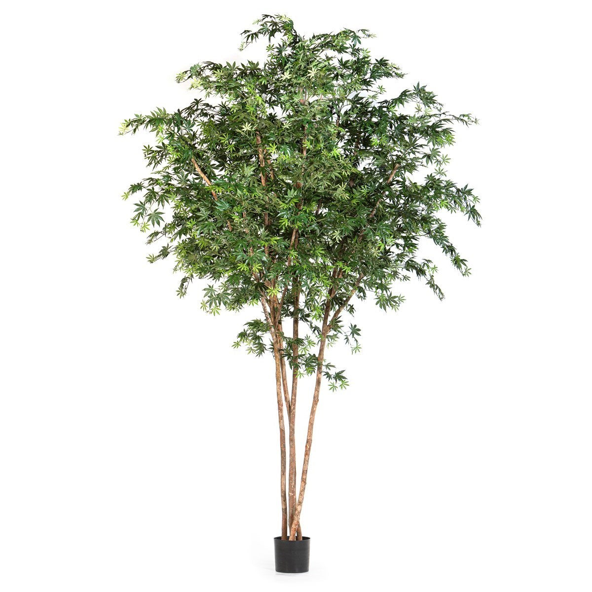 11' Flame Retardant Giant Natural Maple Green
