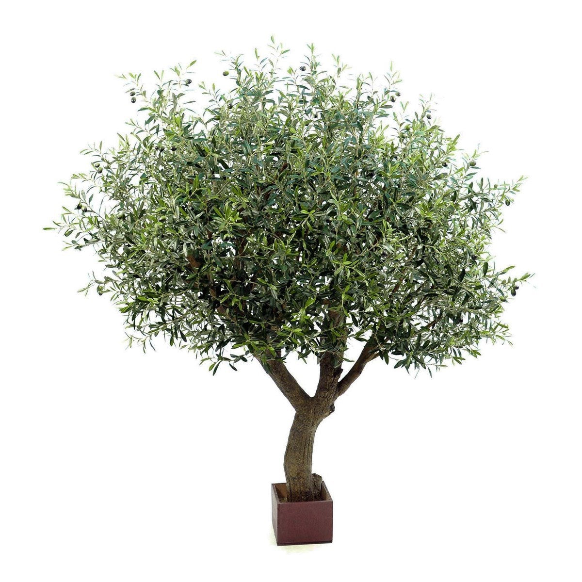 7' Natural Olive Tree Poly Trunk with Fruits