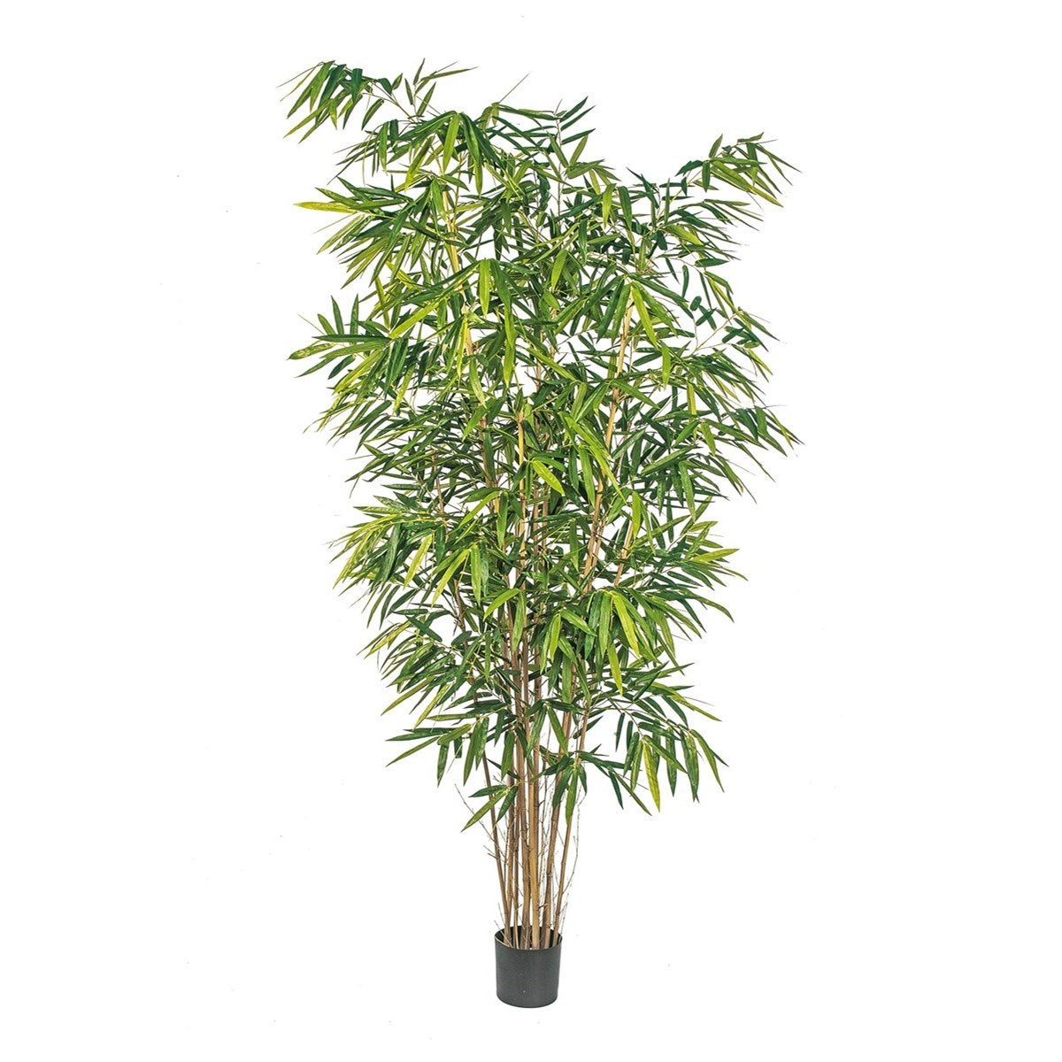 8' NEW BAMBOO BIG LEAF