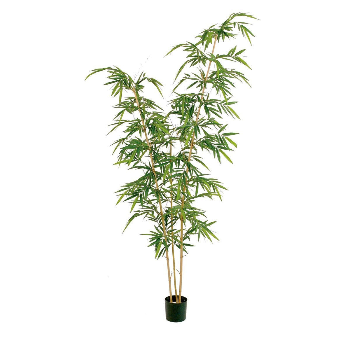 9' NEW BAMBOO ELEGANT TREE