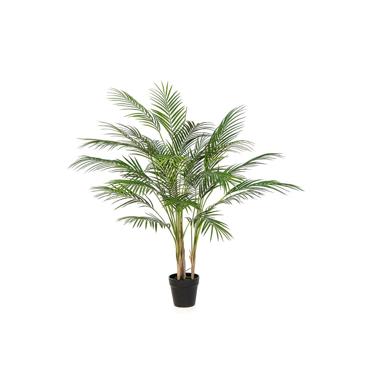 Arecapalm 100 cm - UV