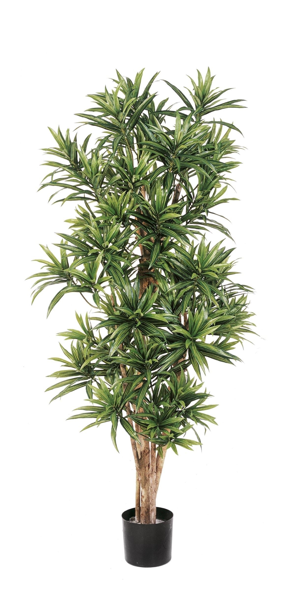 Dracaena Reflexa Kunstbaum
