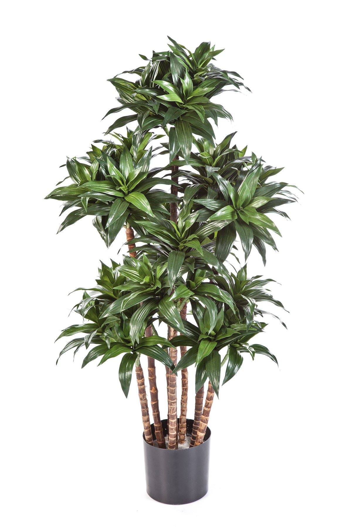Dracaena-Kunstbaum auf Holzstamm