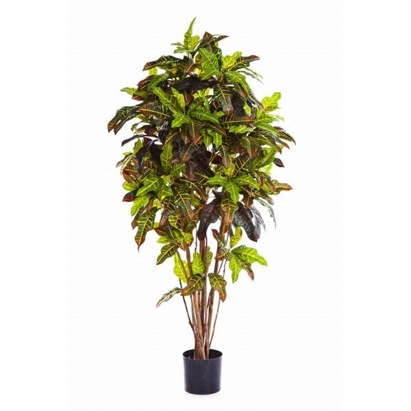 5' FLAME RETARDANT CROTON BUSH TREE