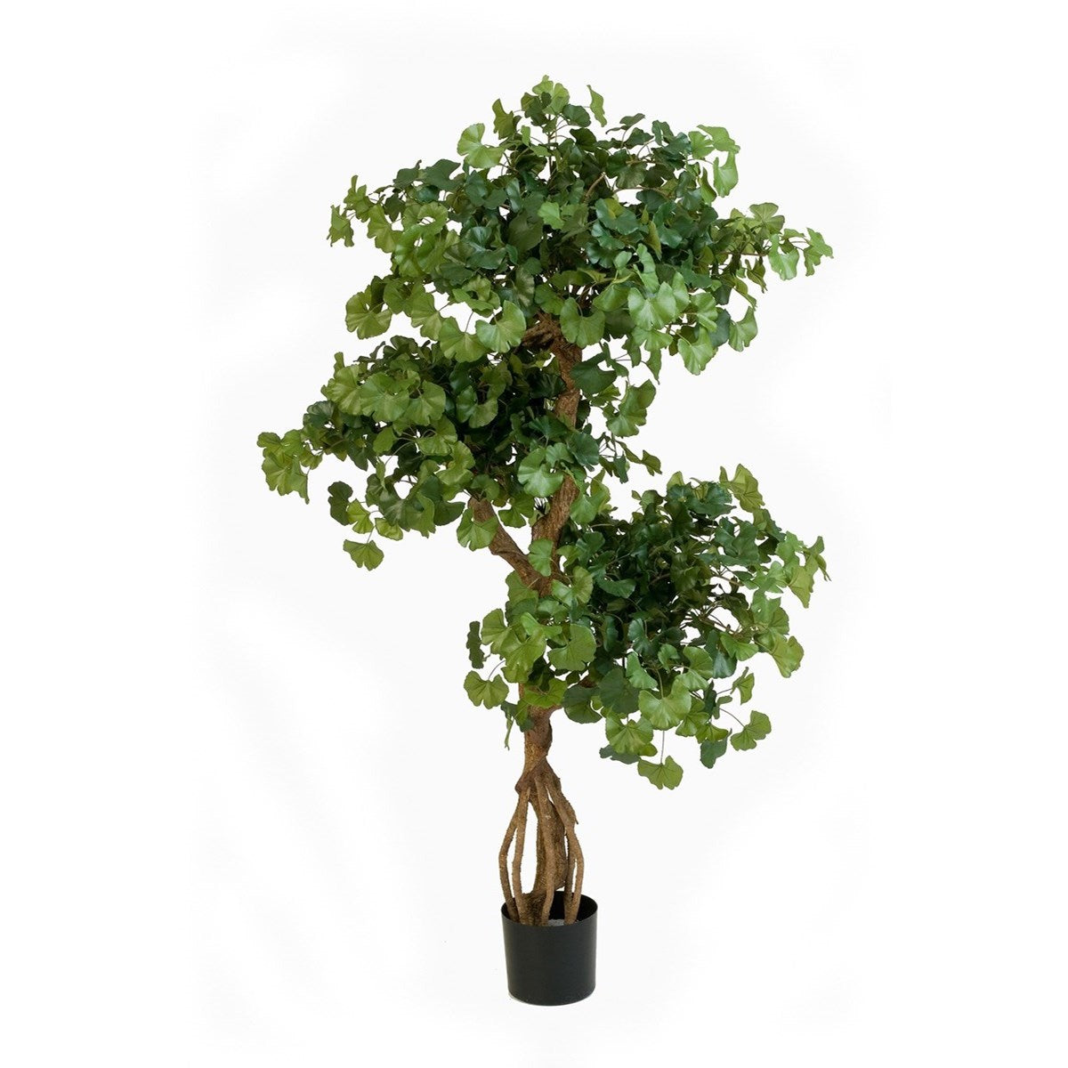 5' FLAME RETARDANT SWEET GINGKO ON CRAZY TRUNK