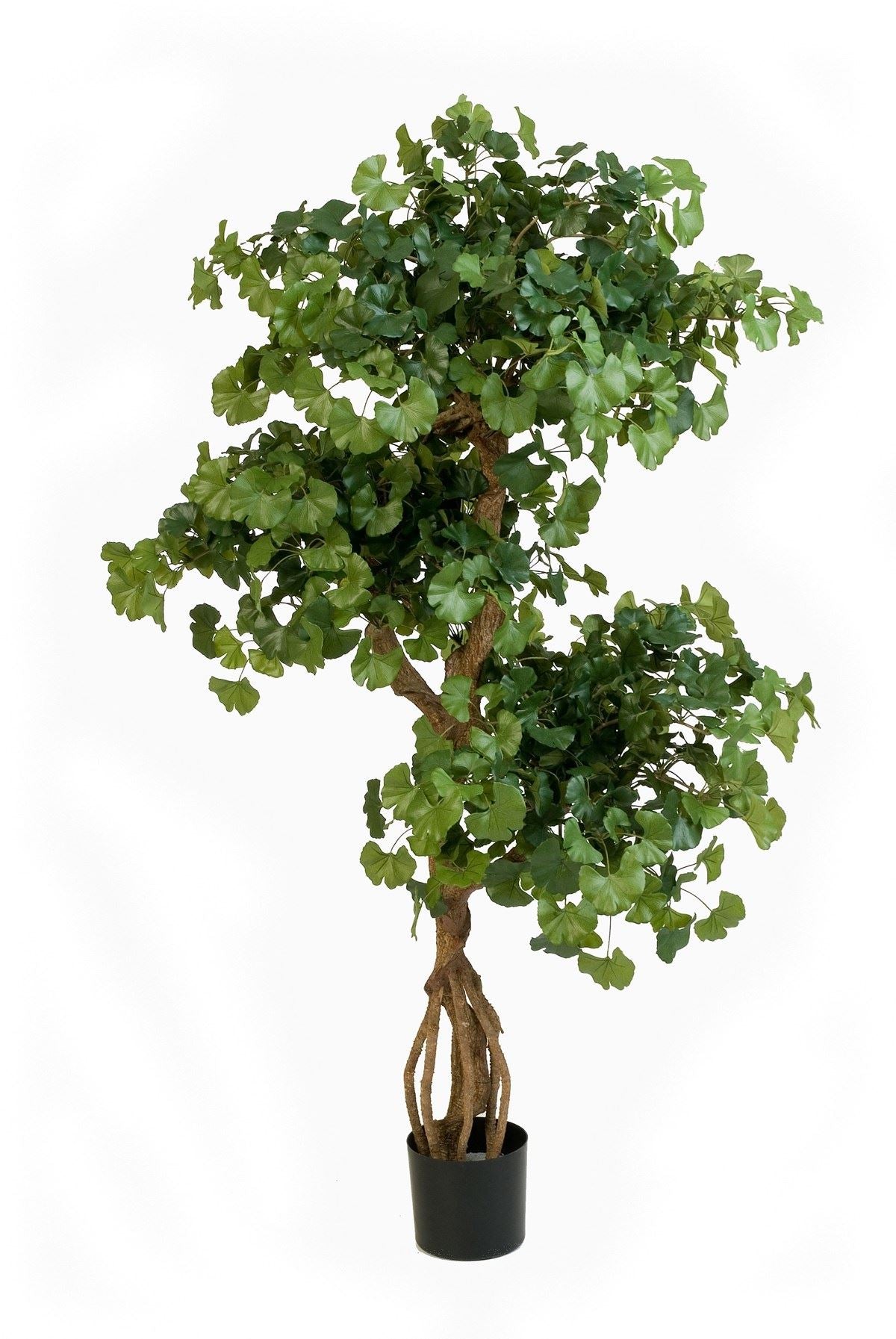 Sweet Gingko Kunstbaum - Schwer entflammbar