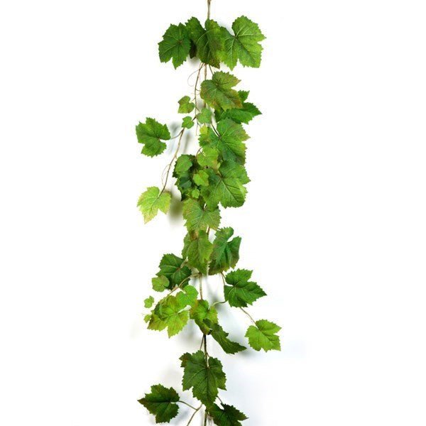 6' Grape ivy garland - NOVA LIGNUM