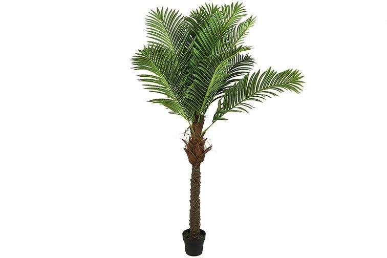 Kunstplant Areca groen-L40B40H200CM