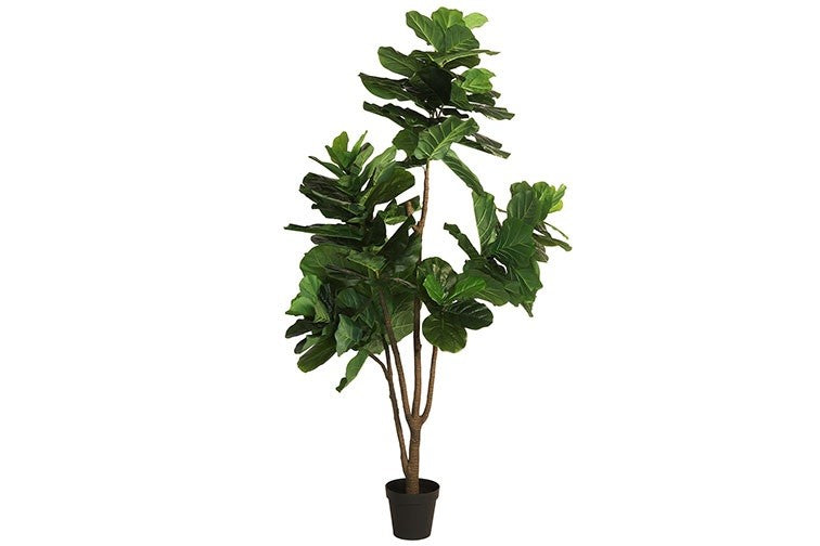 Kunstpflanze Ficus Lyrata XL grün-L90B90H230CM