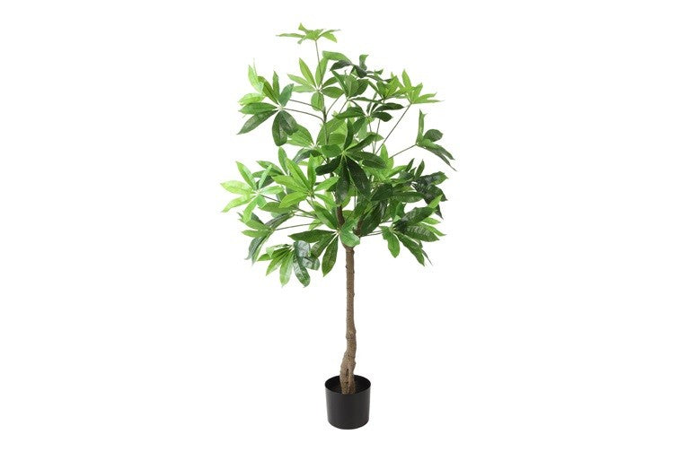 Kunstpflanze Pachira aquatica S grün-L80B80H140CM