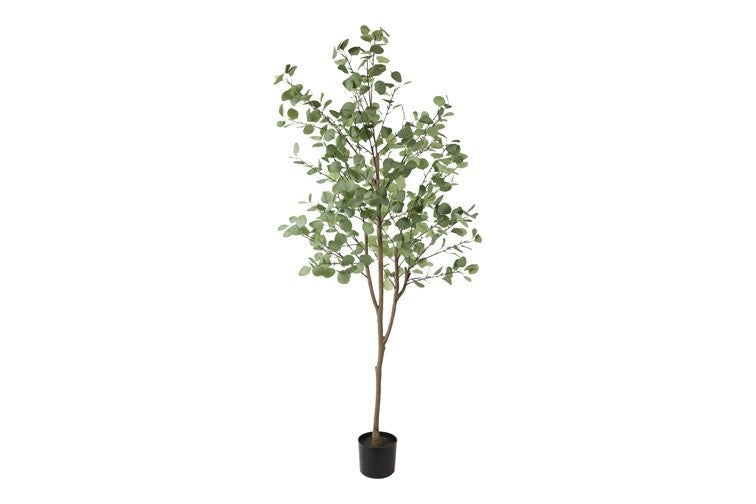 Kunstpflanze Eukalyptus XL grün-L140B140H180CM