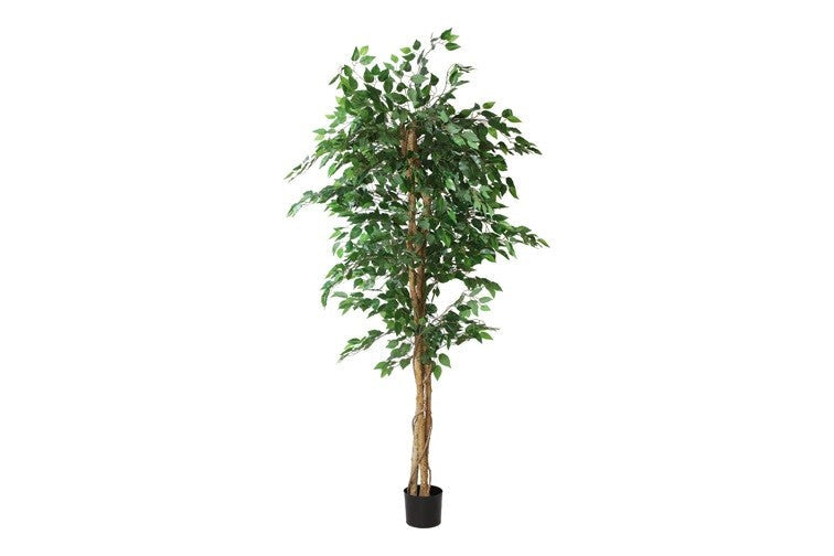 Kunstpflanze Ficus benjamina L grün-L160B160H210CM