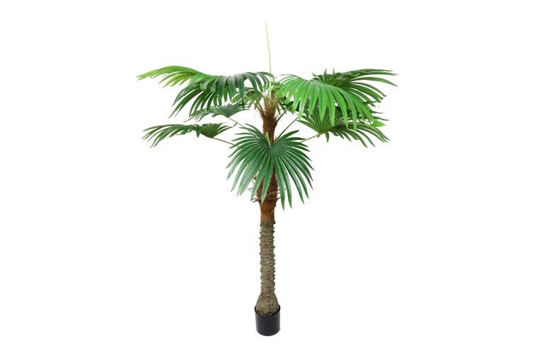 Kunstpflanze Trachycarpus S grün-L100B100H180CM
