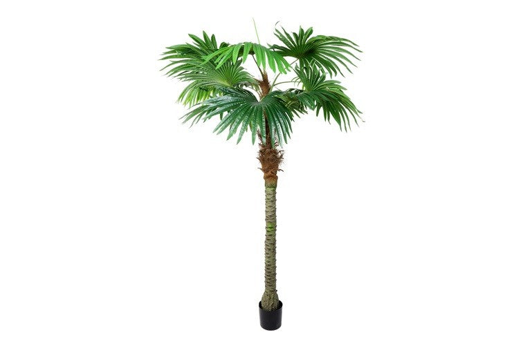 Kunstpflanze Trachycarpus M grün-L140B140H220CM