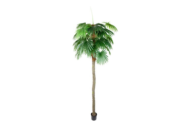 Kunstpflanze Trachycarpus XXL grün-L280B280H350CM