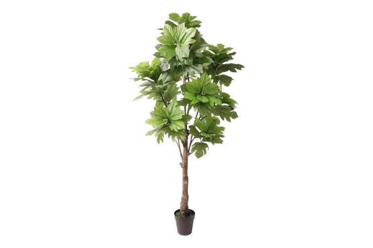 Art plant Artocarpus L green-L150B120H270CM