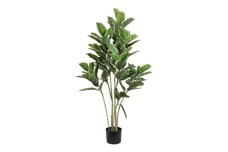 Kunstpflanze Ficus elastica 'Tineke' S grün-L52B62H120CM