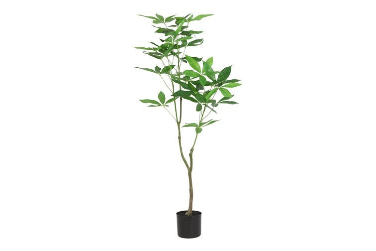 Kunstpflanze Pachira L grün-L70B52H120CM