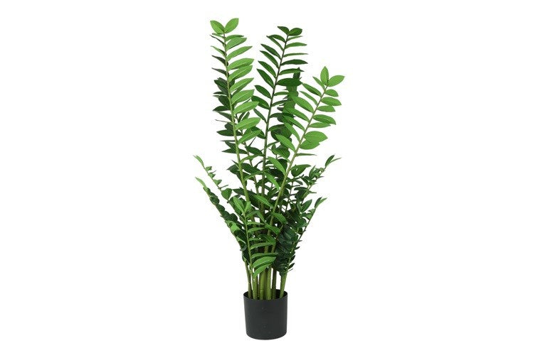 Kunstpflanze Zamioculcas grün-L65B60H130CM