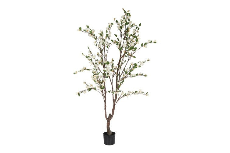 Kunstpflanze Magnolie XL weiß-L85B65H200CM