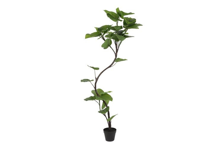 Kunstpflanze Ficus Umbellata real touch L grün-L72B50H150CM