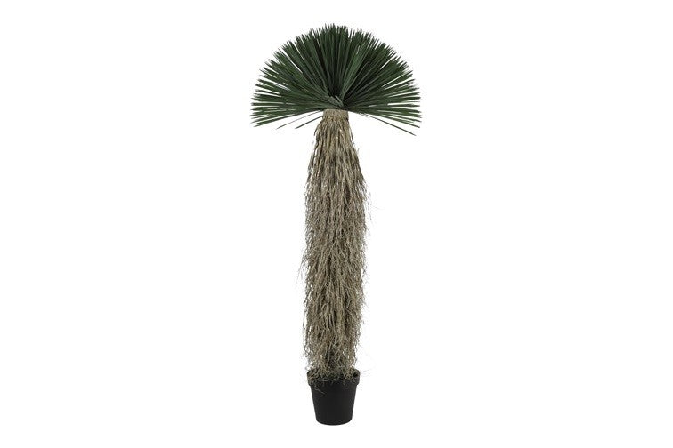 Kunstpflanze Yucca Rostrata L grün-L70B70H175CM