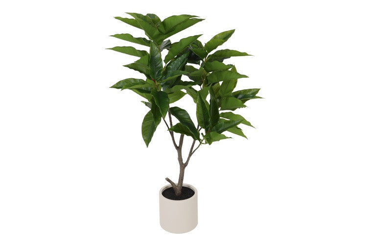 Kunstpflanze Ficus magnolii S grün-L125B40H60CM