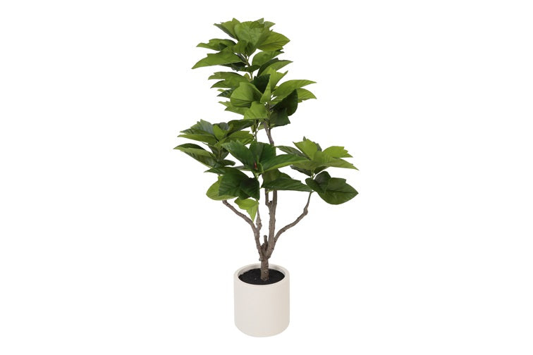 Art Plant Ficus beerii L green-L180B80H90CM
