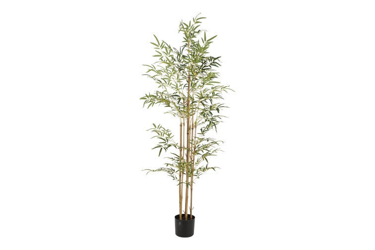 Kunstplant Bamboo XXL groen-L60B60H240CM