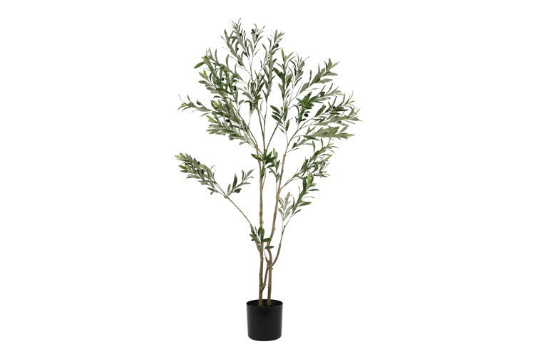 Kunstpflanze Olive Olea S grün-L60B60H180CM