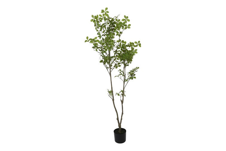 Kunstpflanze Mahonia S grün-L60B60H155CM