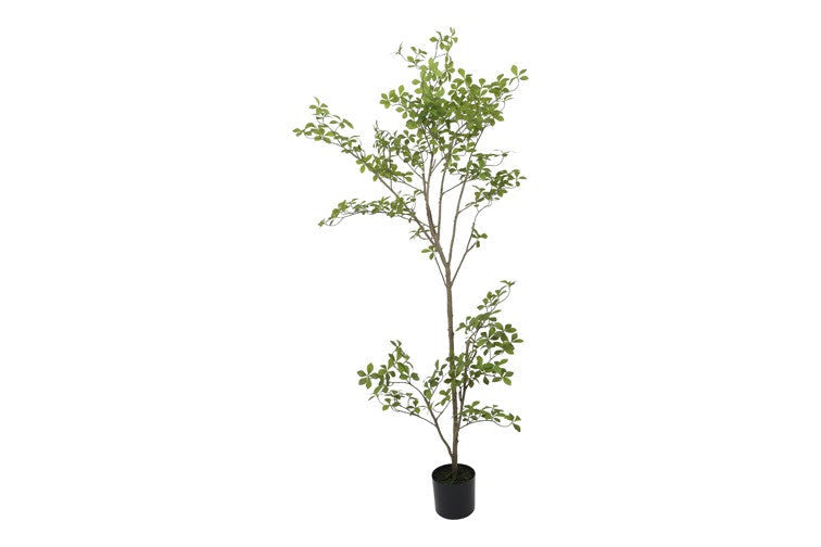 Kunstpflanze Mahonia M grün-L60B60H200CM
