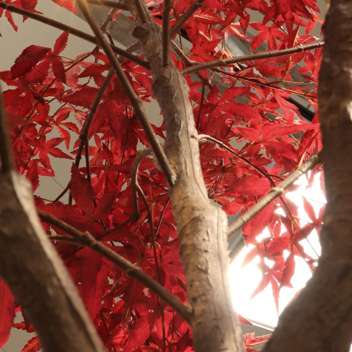 Acer kunstboom XL burgundy 300cm - afbeelding 9