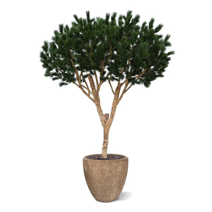 Pinus Umbrella XL Kunstboom Deluxe 260cm - afbeelding 7