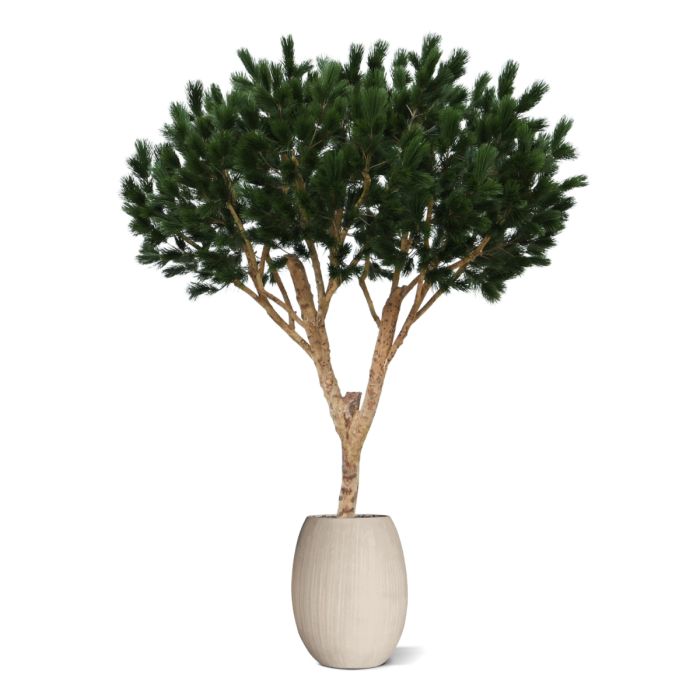 Pinus Umbrella XL Kunstboom Deluxe 260cm - afbeelding 5