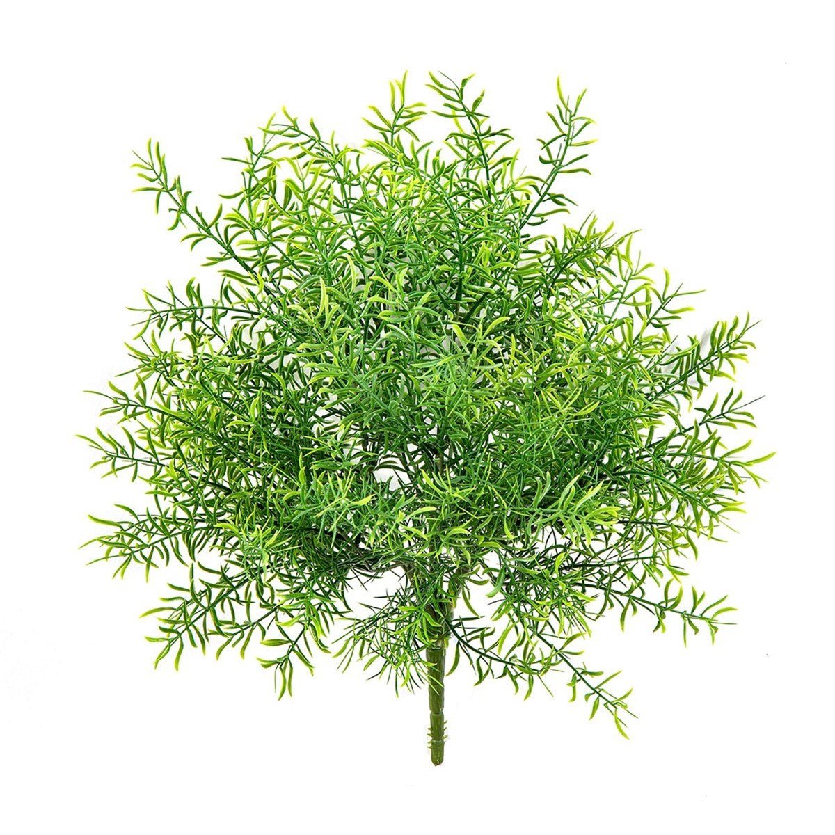 Asparagus Bush UV - NOVA LIGNUM